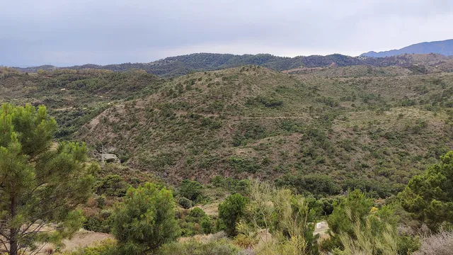 Plot in Benahavis, Malaga