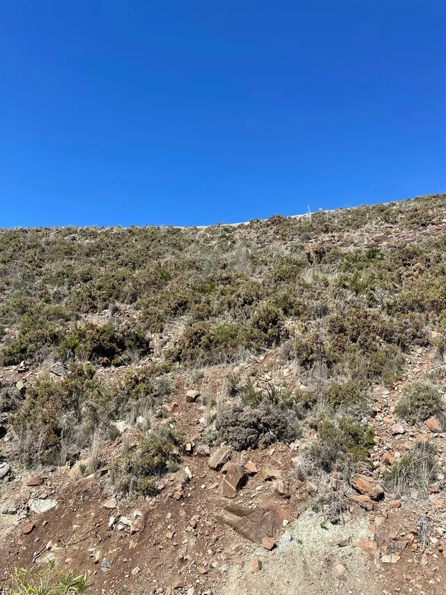 Plot in Benahavis, Malaga