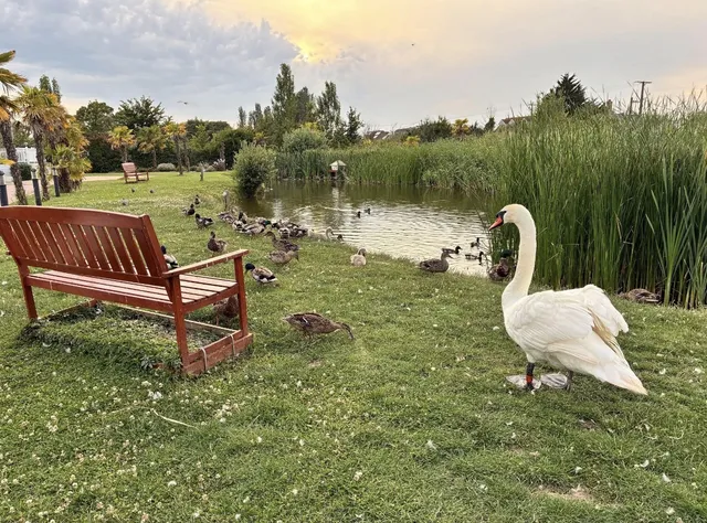 19 Red River Country Park Kingsmans Farm Road, Hockley SS5 6EP