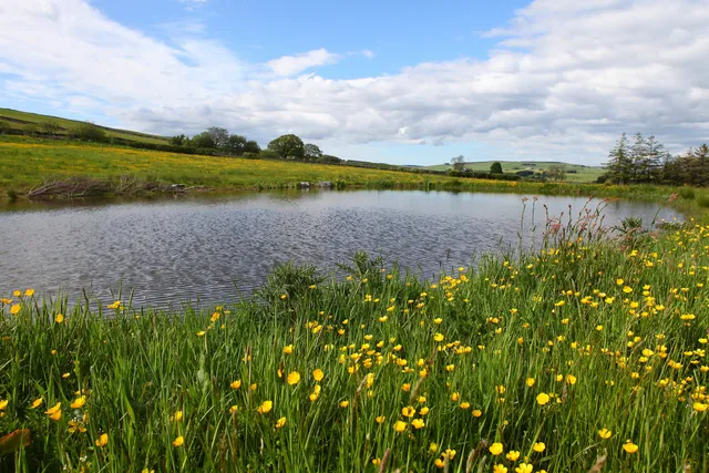 Ffynnon Wen Ty Nant, Corwen LL21 0RH