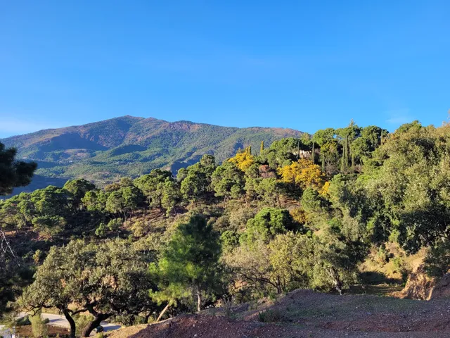 La Zagaleta, Benahavis, Malaga, Spain