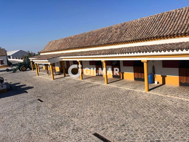 Villa in MEDINA-SIDONIA, Cádiz