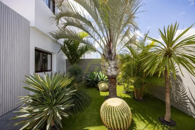 Lanzarote, Costa Teguise,