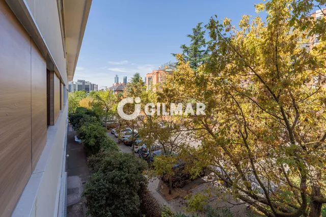 Apartment in MADRID, Madrid