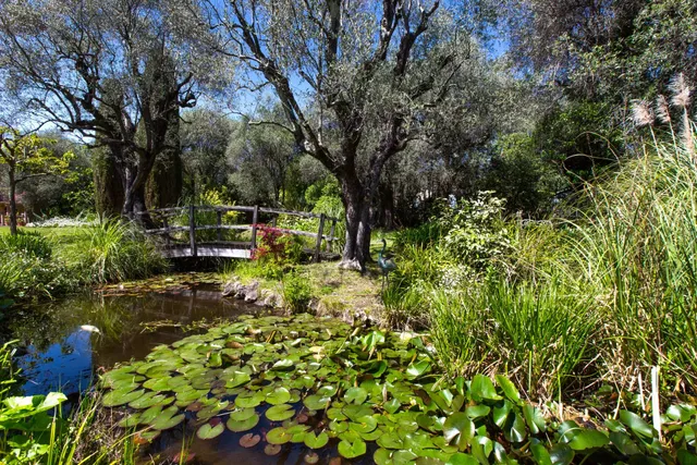Delightful farmhouse with olive grove