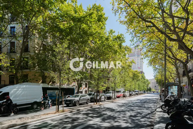 Triplex in MADRID, Madrid