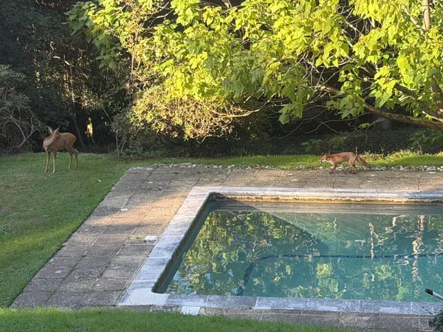Glen Road, Grayshott, GU26