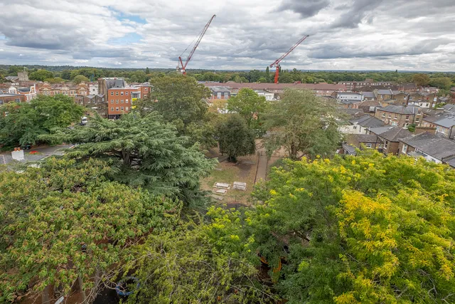 Holly Road, Twickenham, TW1