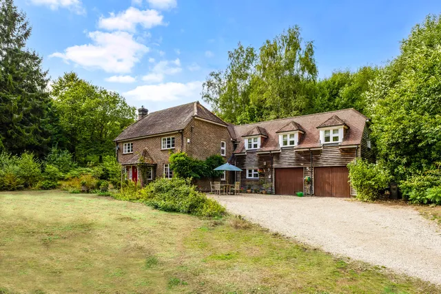 Borden Wood, Nr Milland, GU30