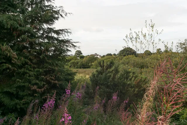 Awelfa Lon Ganol, Menai Bridge LL59 5YD