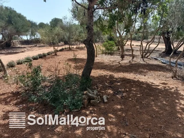 سانتانجي، مايوركا، إسبانيا